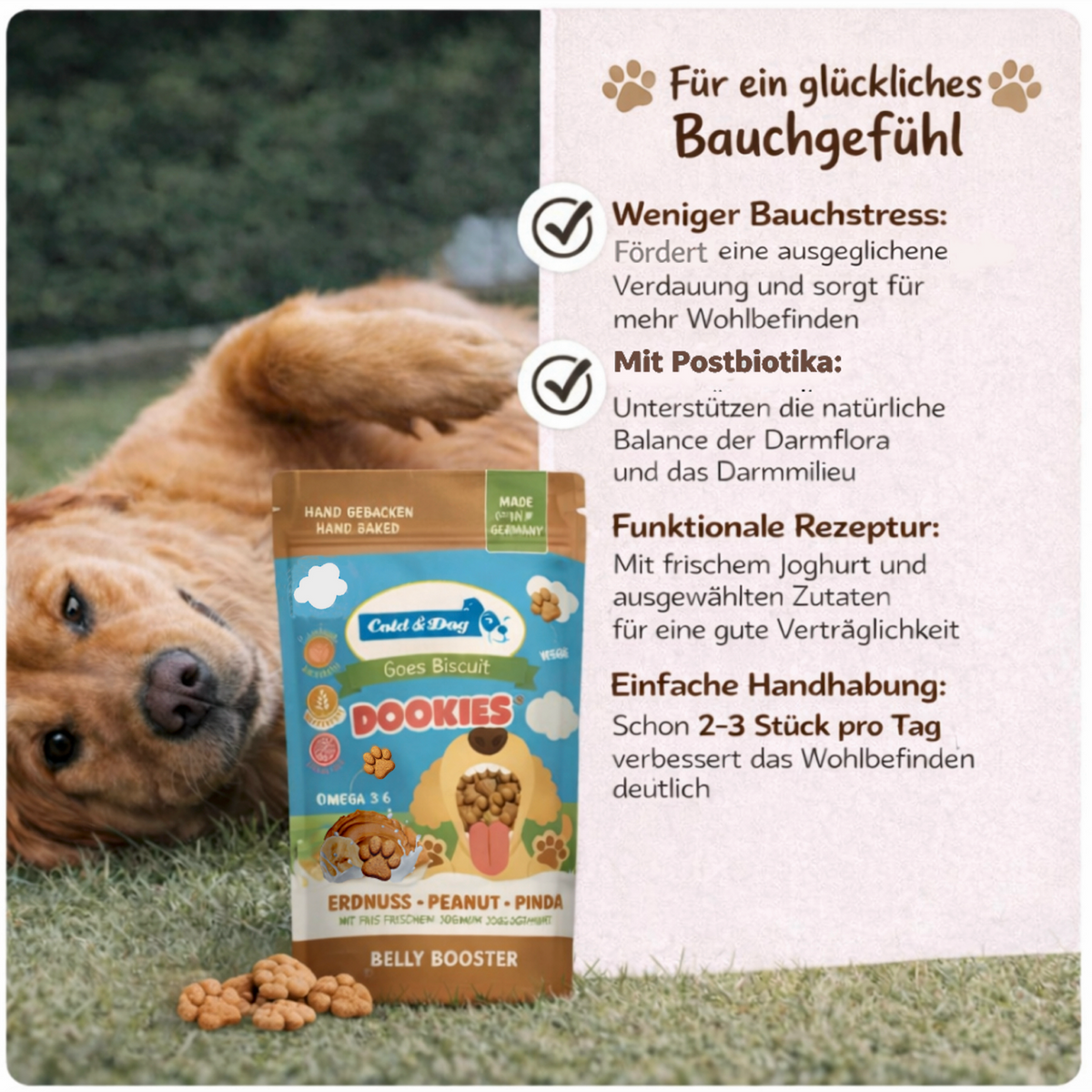BELLY BOOSTER Erdnuss & Banane 120g – Cold&Dog GmbH
