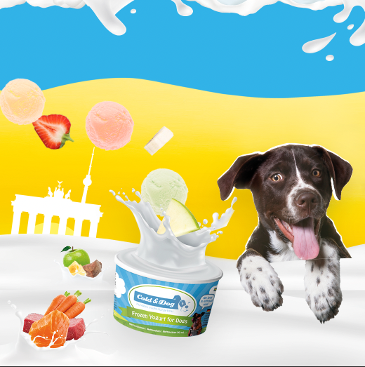 24x Hundeeis Party-Schleckbox mit veganer Coco Bello Eiscreme -  7 Sorten 90ml - Versandkostenfrei