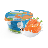 12x Hundeeis der wilde Lachs 90ml