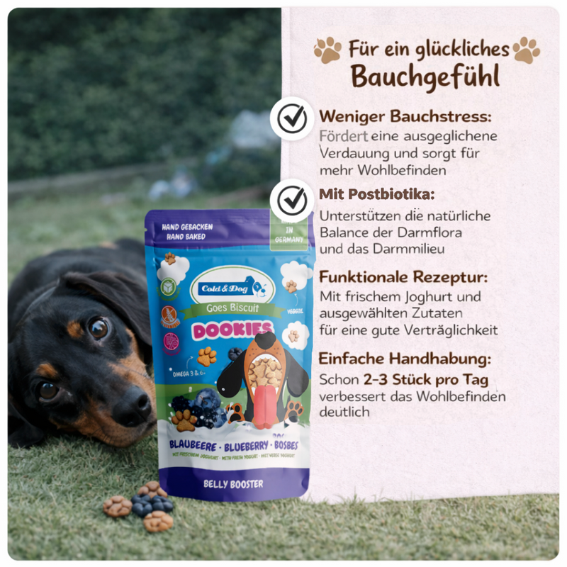 BELLY BOOSTER  Heidelbeeren   120g