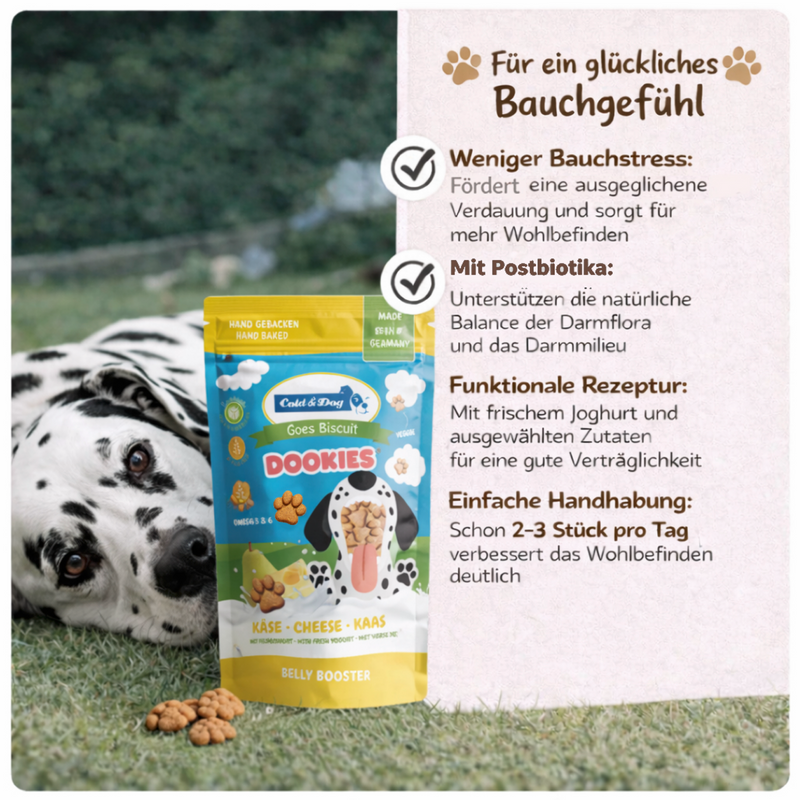 BELLY BOOSTER  Käse & Birne 120g
