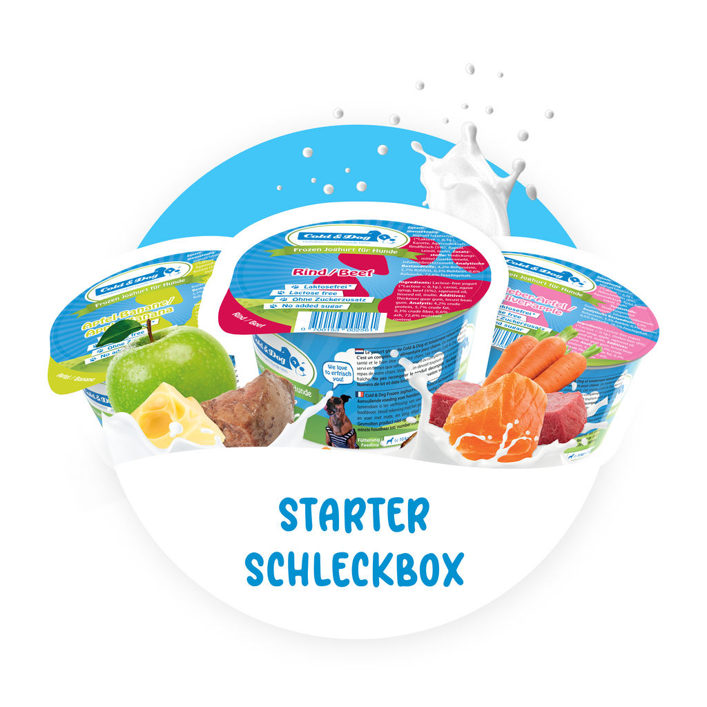 12x Hundeeis Starter-Schleckbox 7 Sorten 90ml