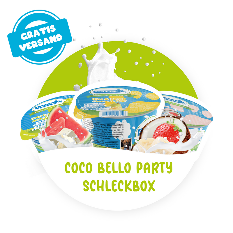 24x Hundeeis Party-Schleckbox mit veganer Coco Bello Eiscreme -  7 Sorten 90ml - Versandkostenfrei