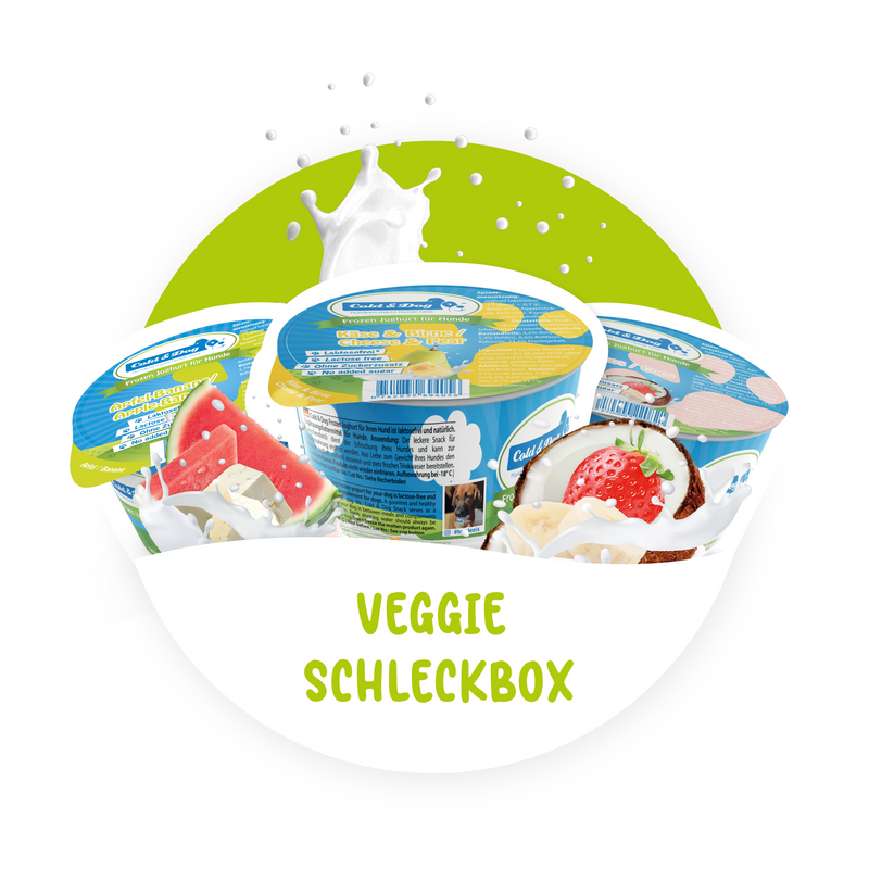 12x Hundeeis Veggi Box - 4 Sorten à  90ml