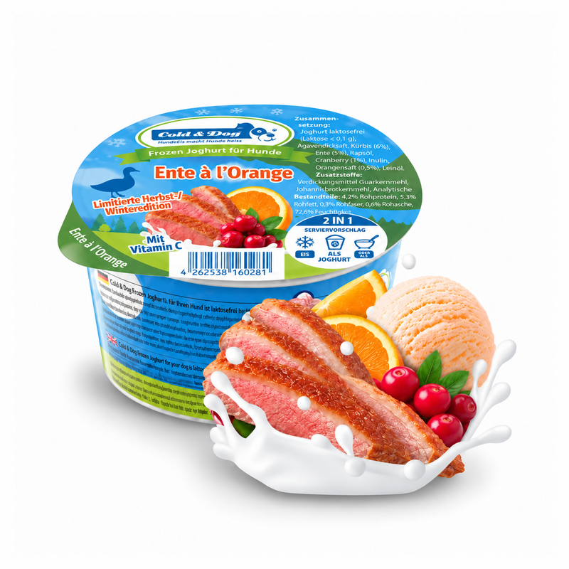 12x Hundeeis Ente a l'Orange 90ml