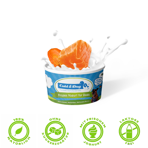 12x Hundeeis der wilde Lachs 90ml
