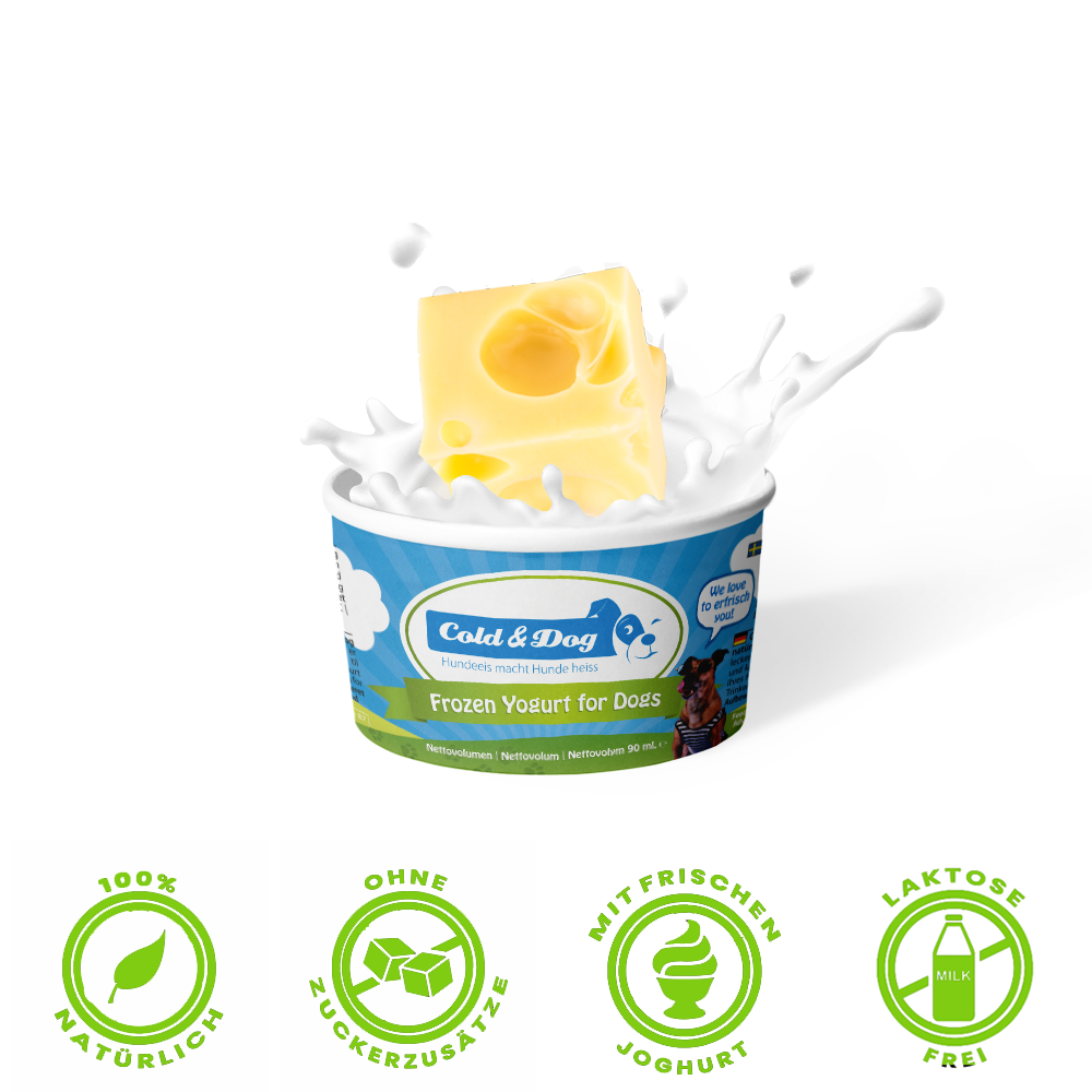 12x Hundeeis der herzhafte Käsetraum 90ml