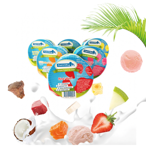 24x Hundeeis Party-Schleckbox mit veganer Coco Bello Eiscreme -  7 Sorten 90ml - Versandkostenfrei