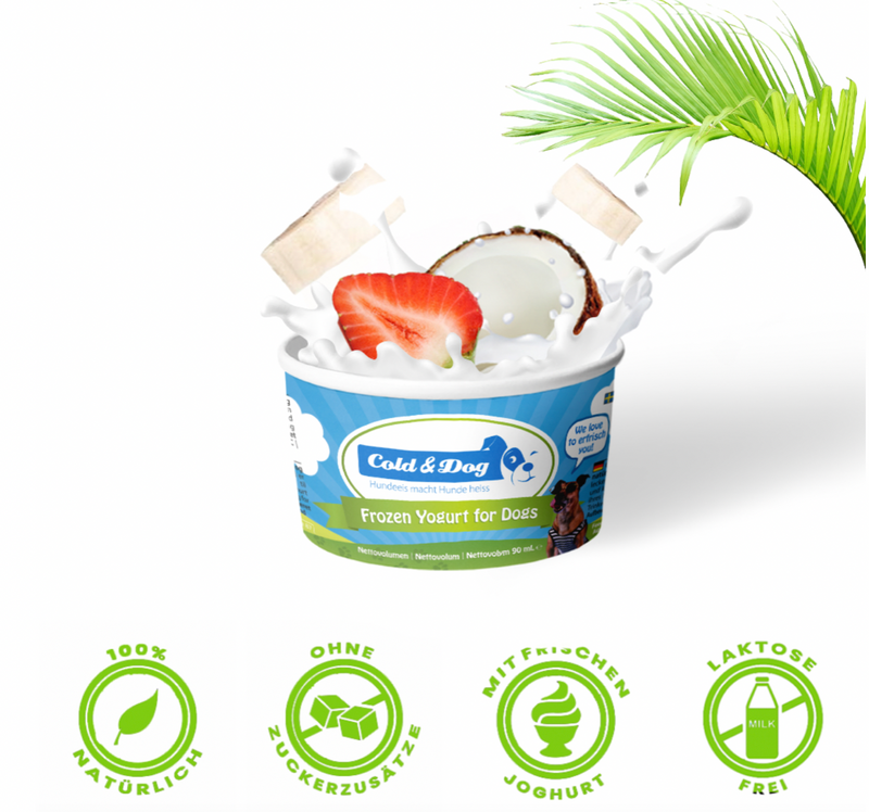 12x Hundeeis vegan - Coco Bello 90ml