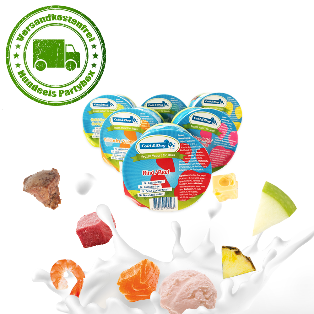 24x Hundeeis - Partybox 6 Sorten a 90ml - Versandkostenfrei